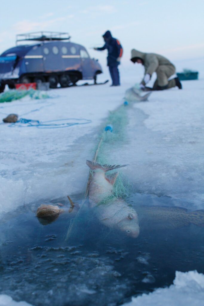 Fishy Business: A Day In The Life Of A Great Slave Lake Ice Fisherman 5fc97fe7d4bff.jpeg