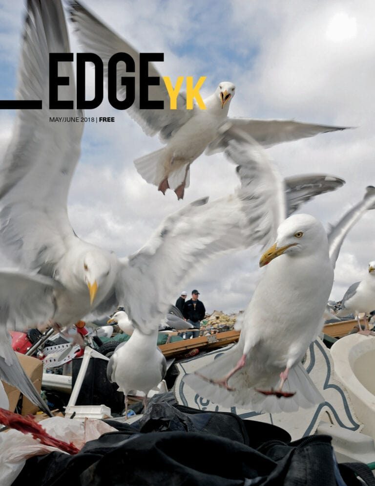 The May/june Issue Of Edge Yk Is Online 5fc99a732c6c7.jpeg