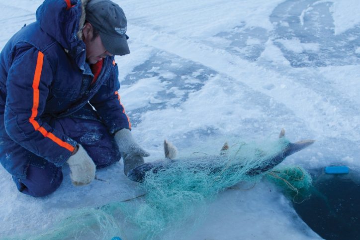 Fishy Business: a day in the life of a Great Slave Lake ice fisherman –  Edge North